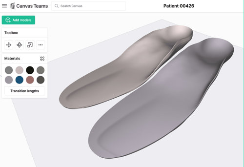 Orthotics Canvas 1